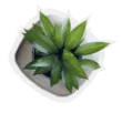 Book Writing services by USA Book Services